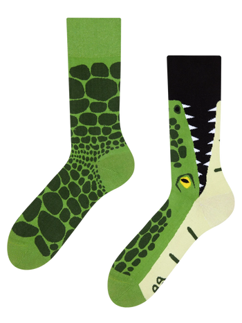 Calcetines alegres Cocodrilo