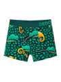 boys-boxers-hunting-chameleon-5c/5c1e17be1706e625af065f9b84ca6ac366fa5320