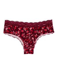 women-s-lace-hipster-briefs-ripe-rosehips-42/4289e3e8238385e9e2cc5c320281211329ac36d0