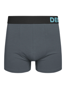 Calzoncillos básicos alegres Gris
