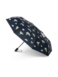 umbrella-storm-85/85c7802a5338480ac82f9a3989383651a72b2c53