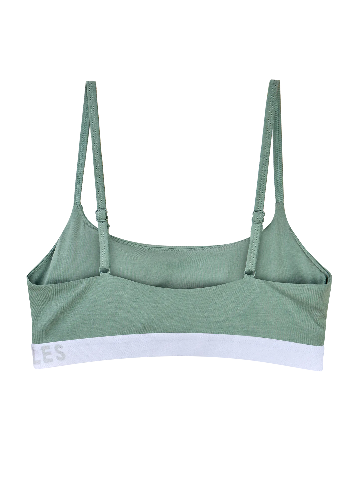 sage-green-womens-modal-brassiere-6a/6a3704714ac6ea53036ff79cdd68ef504b5bcbbe