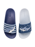 Chanclas infantiles alegres Tiburón gris