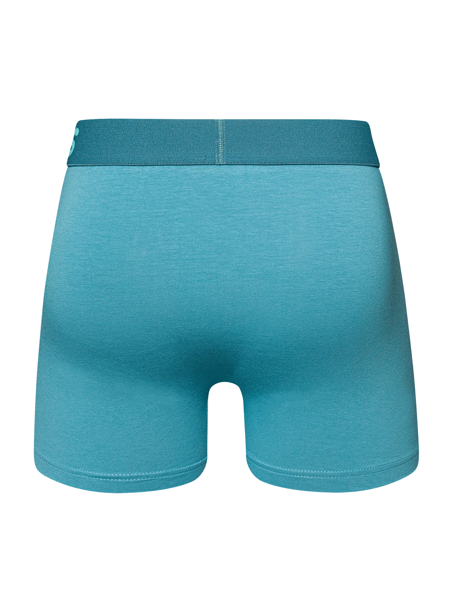 iceberg-blue-mens-trunks-6a/6ac1796672adf555524b2cfdbf8a4225290b3ed6