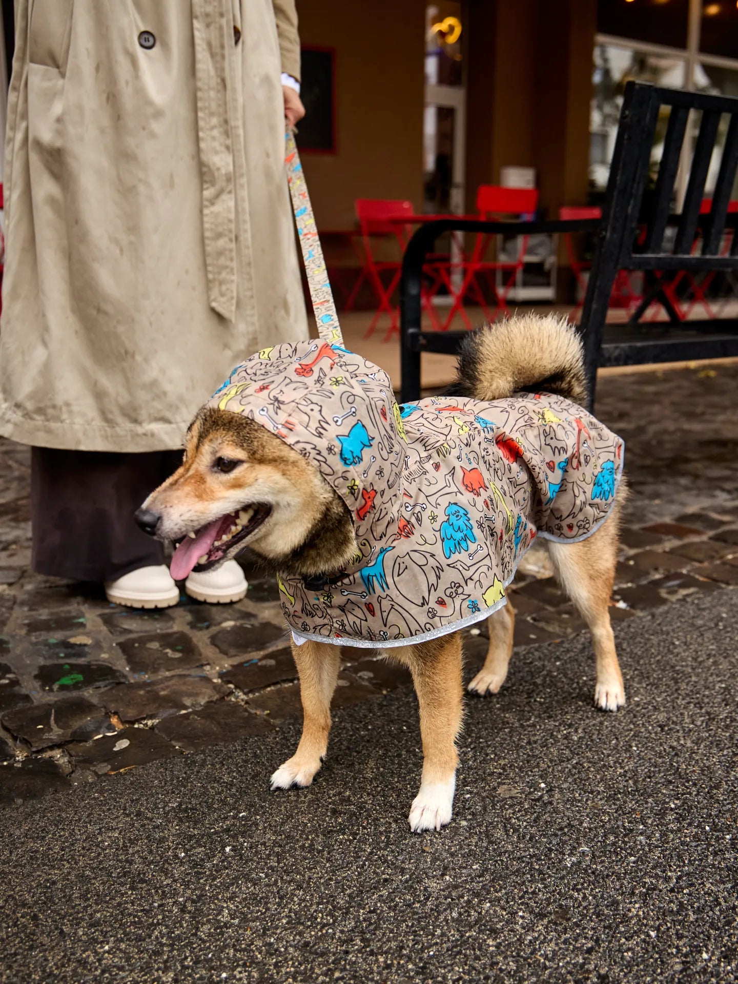 dog-raincoat-dog-pack-e6/e68fff6d944ecf74ff233dd5fb997e8b8a956c89