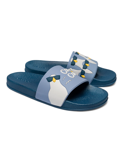 slides-cool-pigeons-6e/6eb362f2efd32390141edcaa6905ac6c280a057b