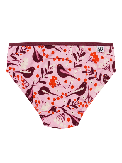 girls-briefs-birds-berries-7b/7b9087fa9e7ced0fa93c177a051f170f9c204e27