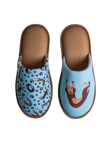 Pantuflas alegres Perro salchicha