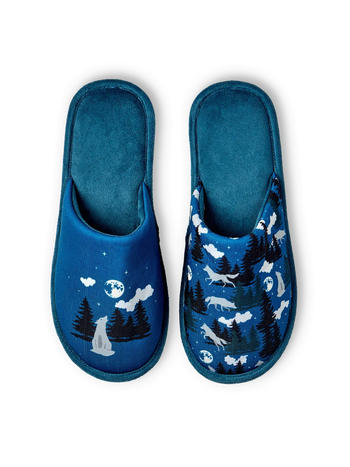 Pantuflas alegres Lobo y luna