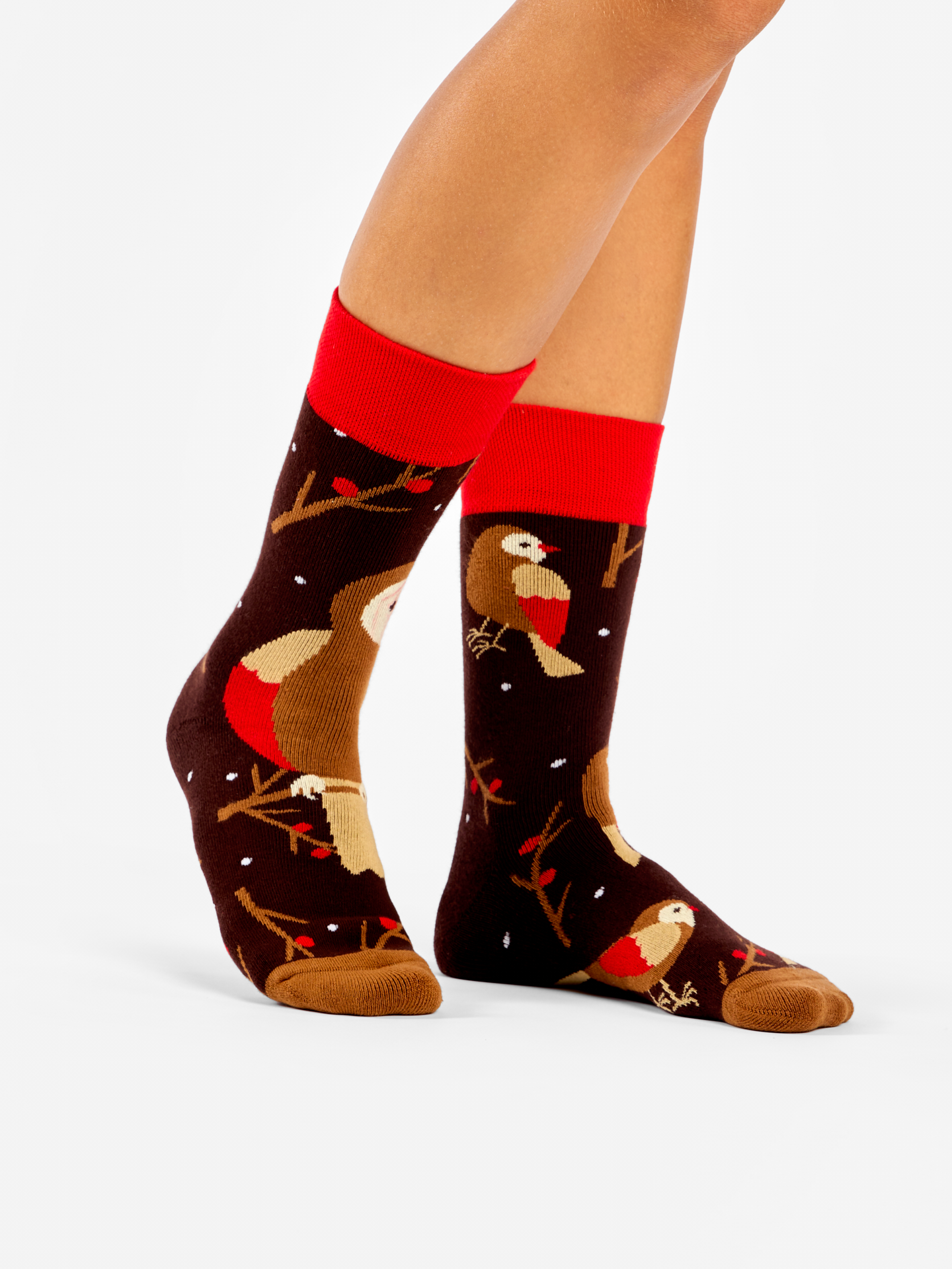 warm-socks-bird-on-a-branch-84/84a7546d94cddde3280050e05ae3b36356a42587