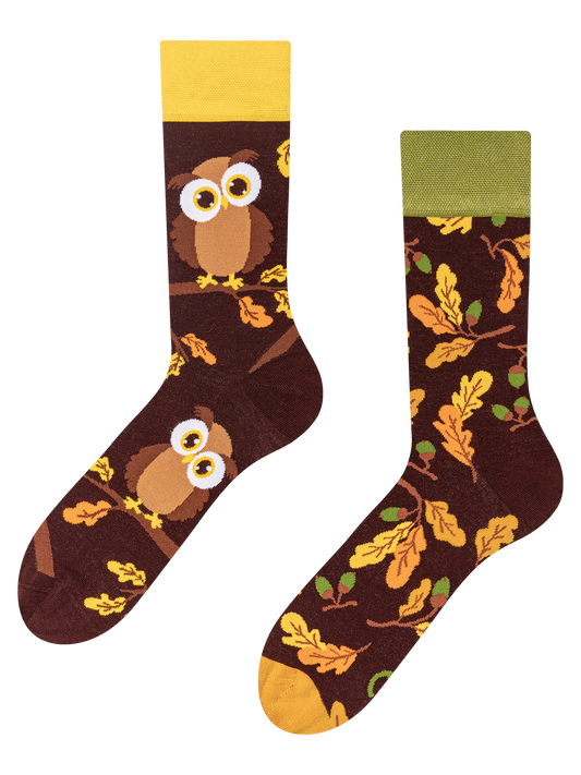 regular-socks-curious-owl-02-bf/bf866e064edbfbf63bbe45be2c552ef6b7e1b221