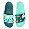 Chanclas alegres Conchas marinas