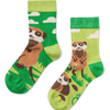 Calcetines infantiles alegres Suricatas