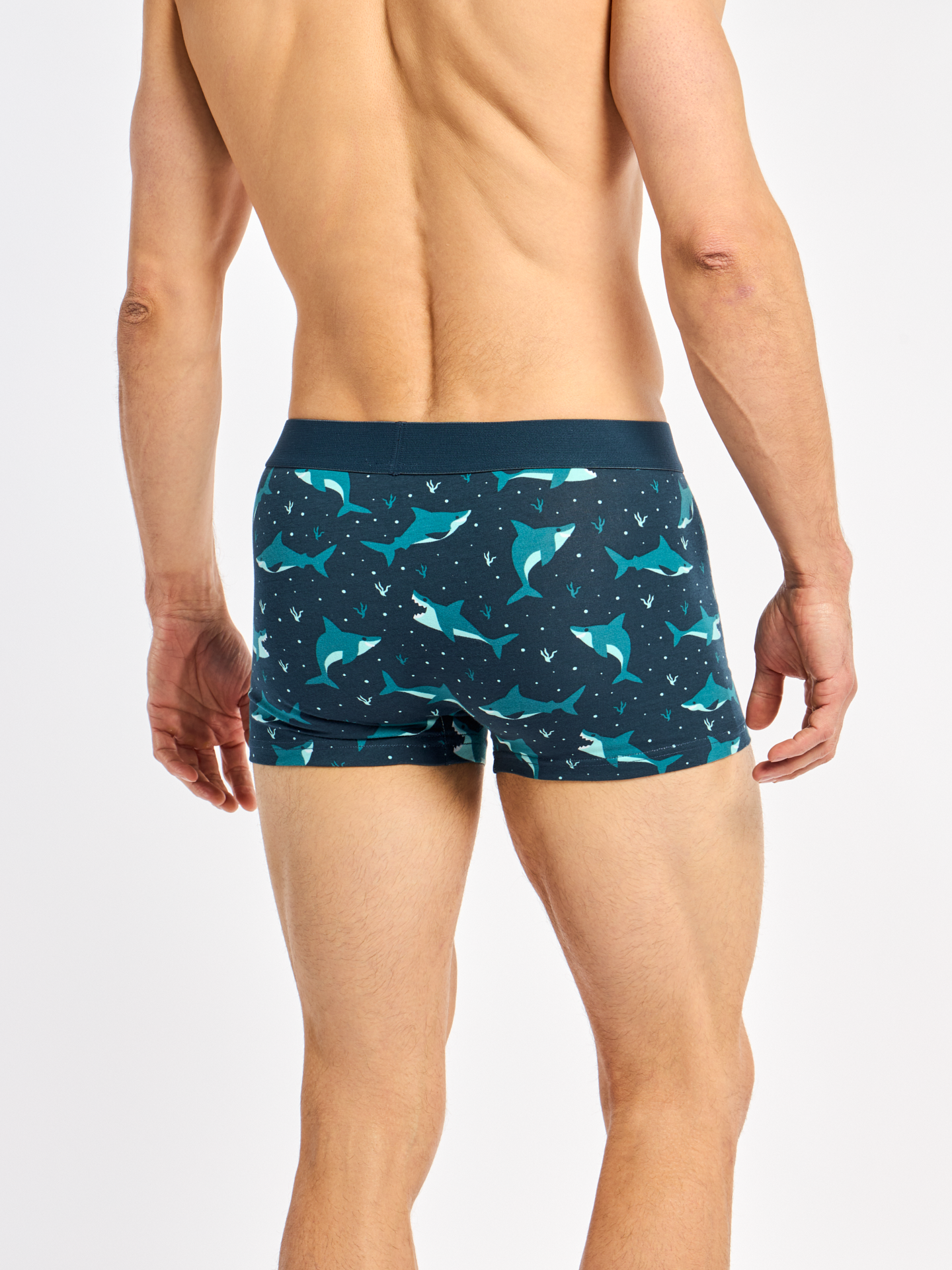 mens-trunks-short-length-blue-shark-1d/1d25a4f296d811ca84276ef23347ad48053a9f1f