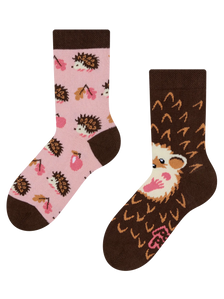 Calcetines infantiles alegres Erizo