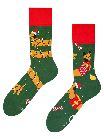 Calcetines alegres Perro salchicha y regalos