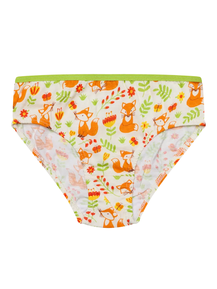 girls-briefs-fox-butterflies-ec/ec83b890e5962b119e9bf9f27f85ee2586ab6af8