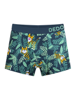 boys-boxers-tiger-19/19fcd09e625455f1c01149e923187e5ad3154a63