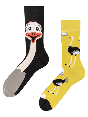 Calcetines alegres Avestruz
