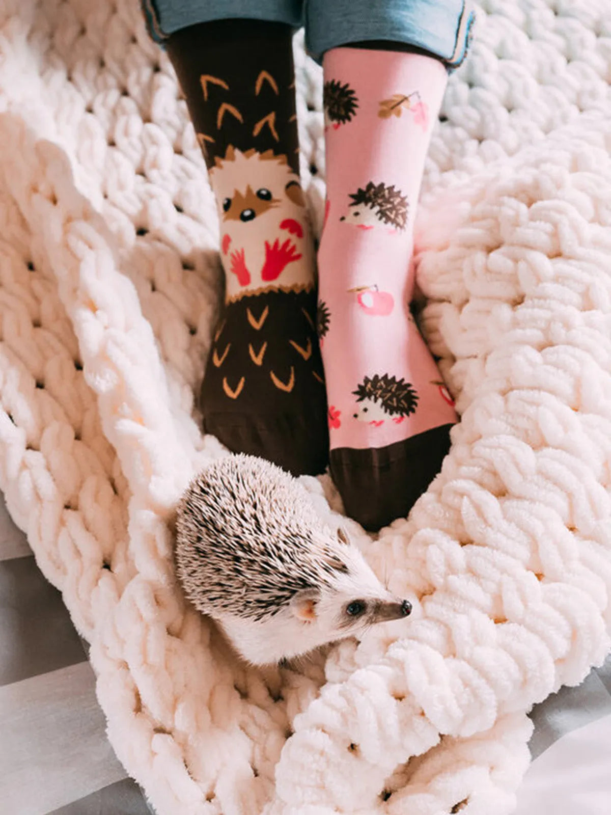 regular-socks-hedgehog-94/94f2537f0188c3780c26e3dbedbc43d08abedfd8