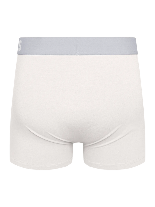 true-white-mens-trunks-96/96aa86111560456657db90fd8ad059845ef35be7