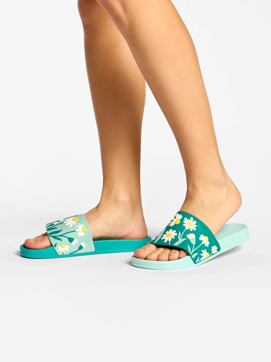 slides-turquoise-chamomile-9b/9baa083cbf44b69f60b2aa4c878f011dac9102d4