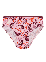 girls-briefs-birds-berries-9d/9d58ad8dc2b593c4faaea67484e8e2bdba829a20
