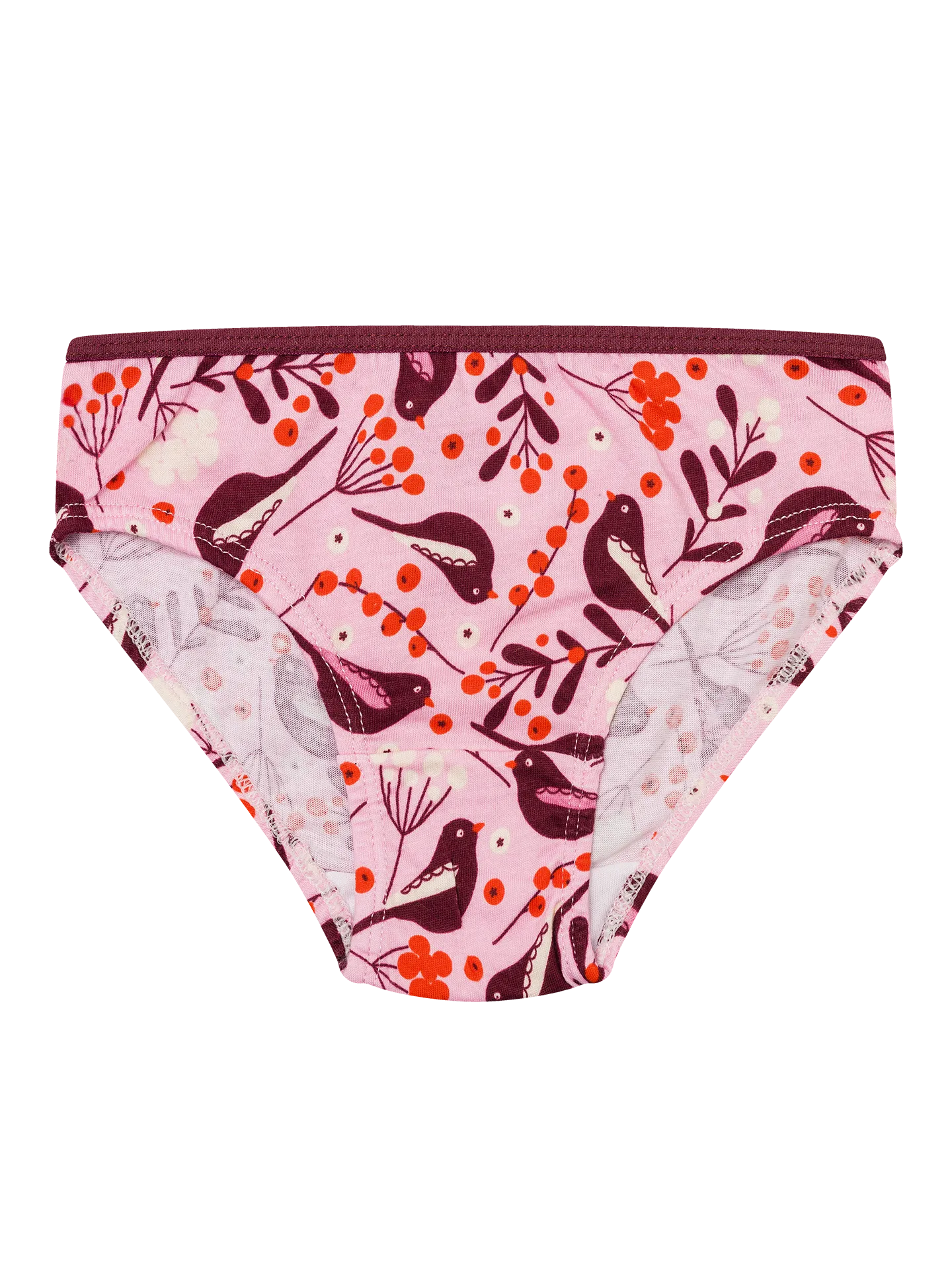 girls-briefs-birds-berries-9d/9d58ad8dc2b593c4faaea67484e8e2bdba829a20