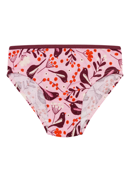 girls-briefs-birds-berries-9d/9d58ad8dc2b593c4faaea67484e8e2bdba829a20