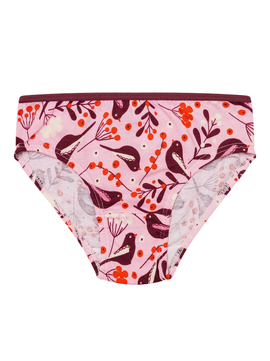 girls-briefs-birds-berries-9d/9d58ad8dc2b593c4faaea67484e8e2bdba829a20