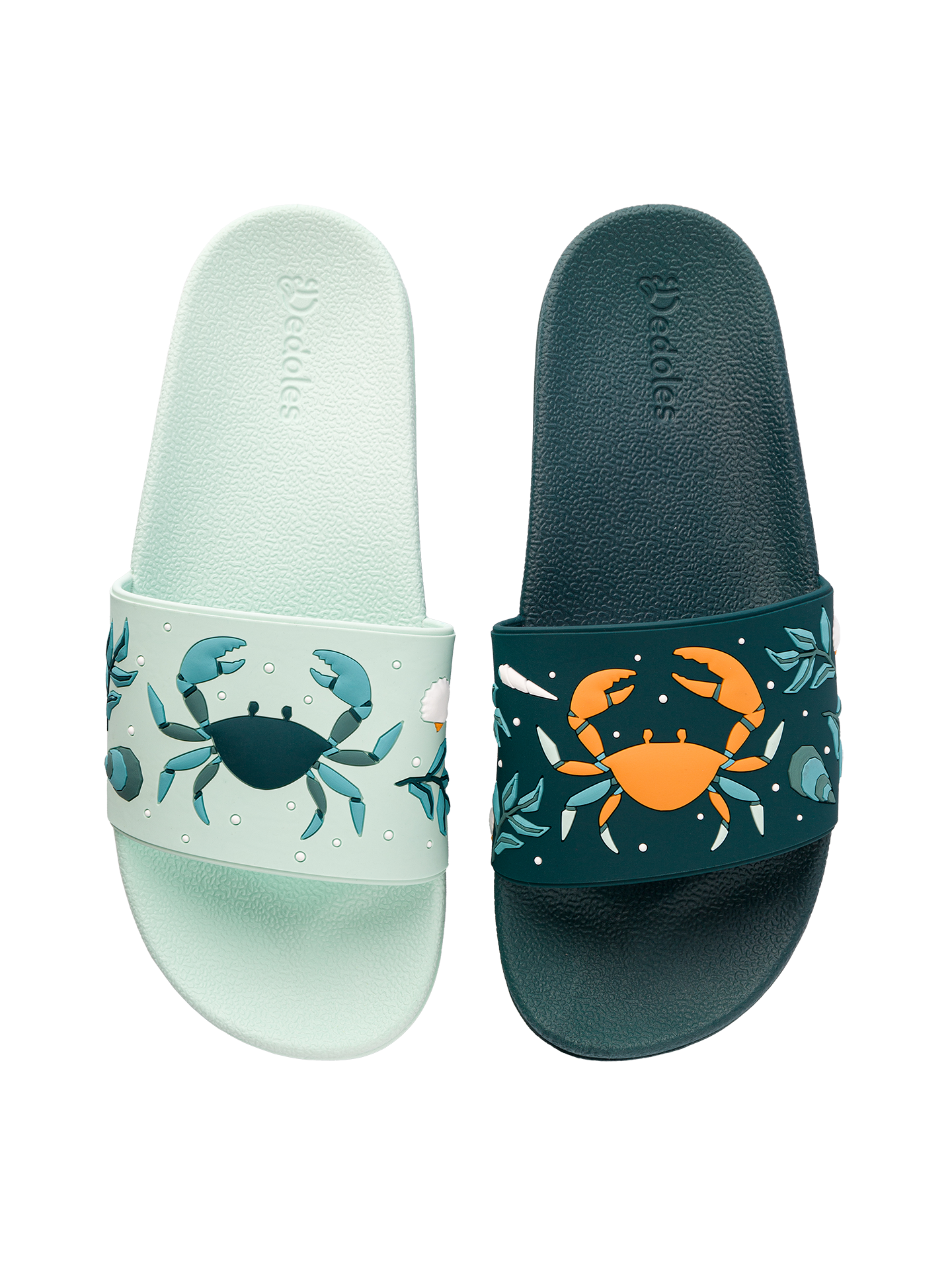 Chanclas alegres Cangrejo de mar