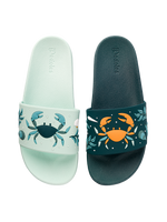 Chanclas alegres Cangrejo de mar