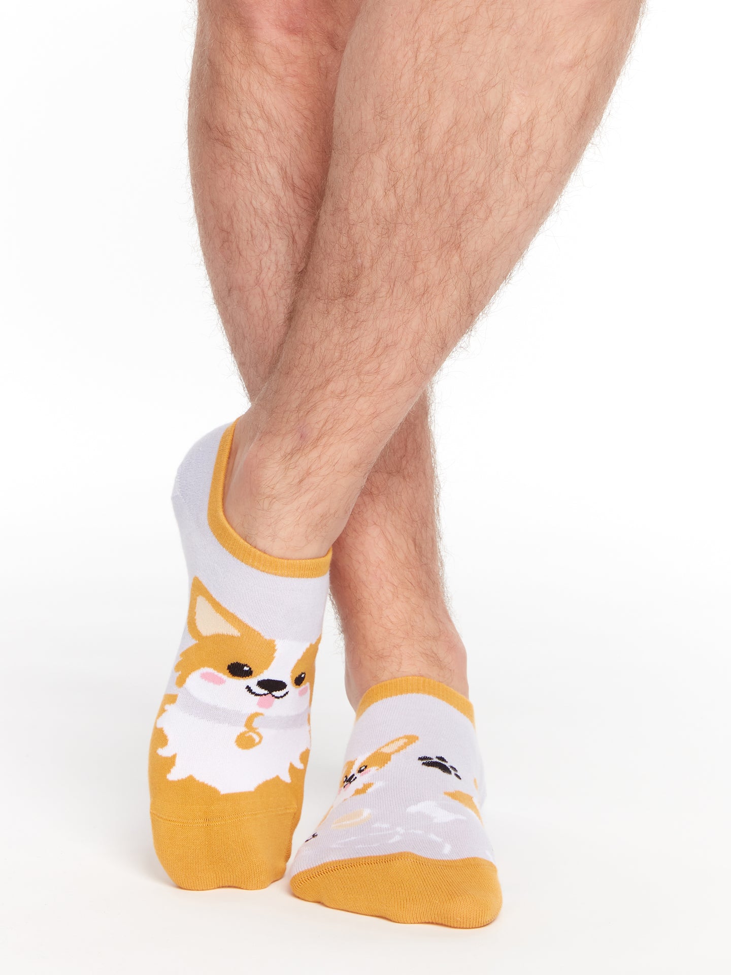 Calcetines sneakers alegres Perro Corgi