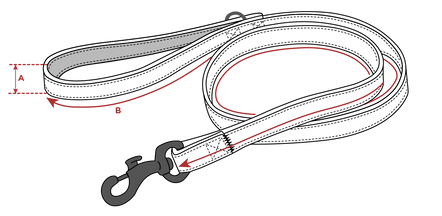 Dog Leash