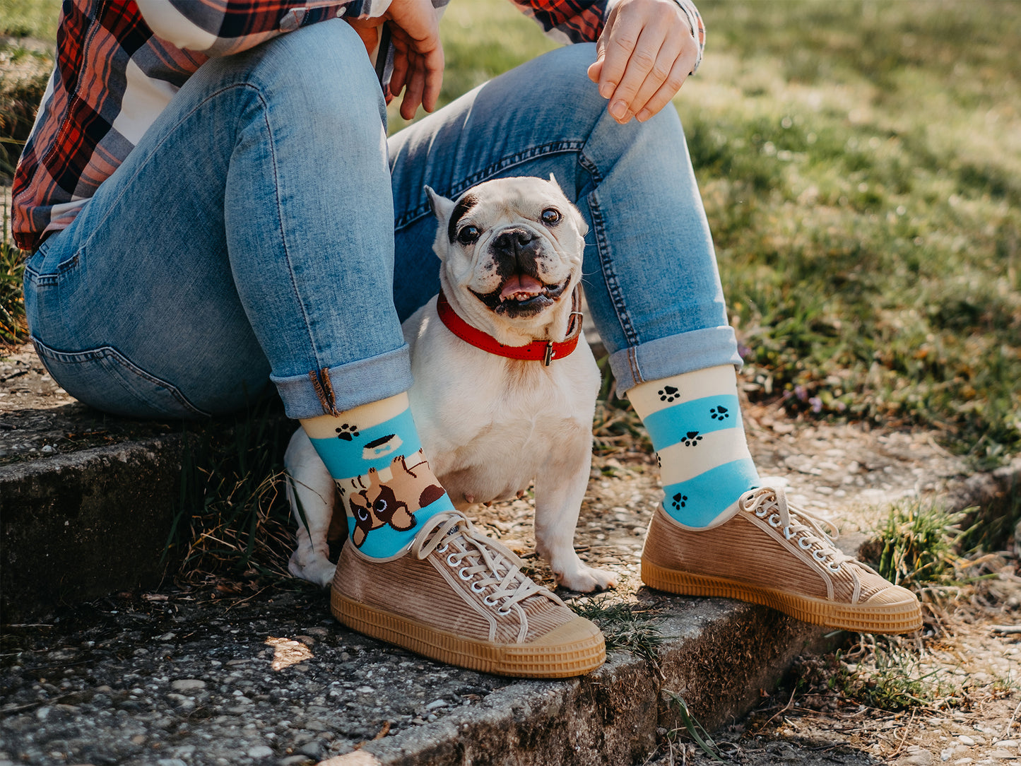 Calcetines alegres Perros y rayas