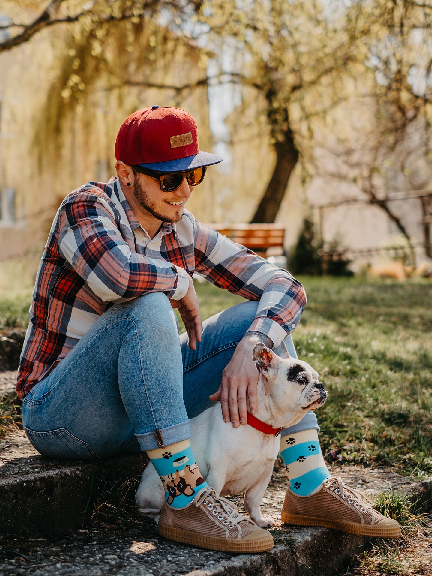 Calcetines alegres Perros y rayas