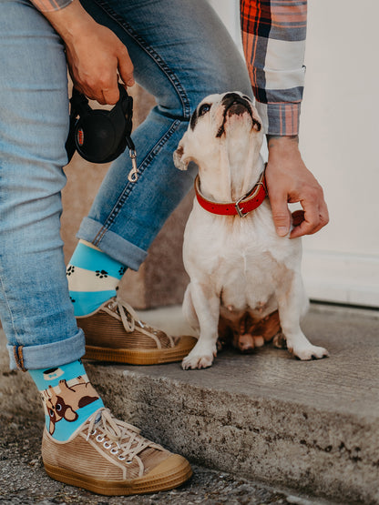 Calcetines alegres Perros y rayas