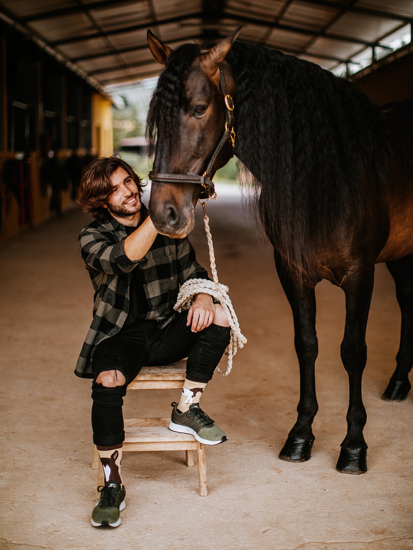 Calcetines alegres Caballos