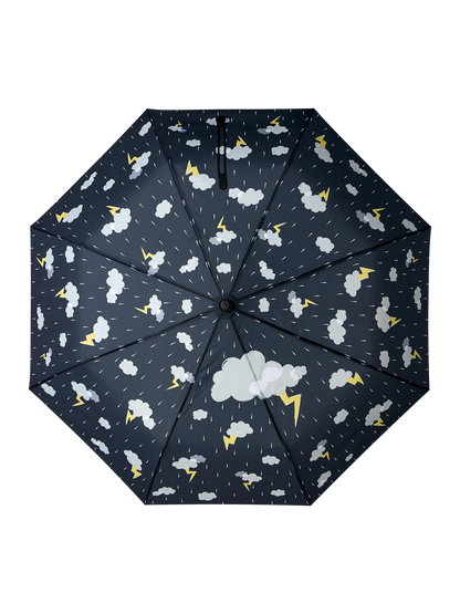 umbrella-storm-a0/a01d5adeff88fabf1114514f5a9e30eee7fc110d