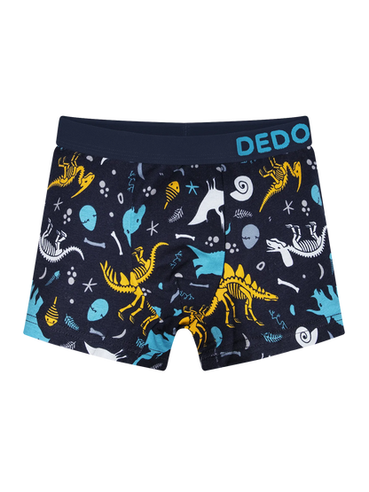 boys-boxers-dinosaurs-aa/aad50367a8ba780d27e2b33740d58a214dba0594