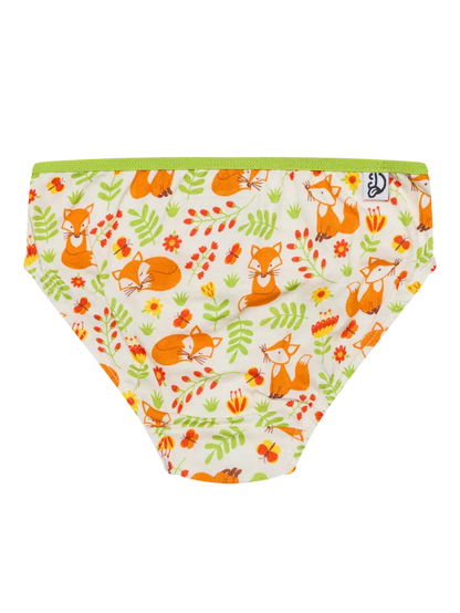 girls-briefs-fox-butterflies-ec/ecc94533fc63e31702355012290a1387893360a1