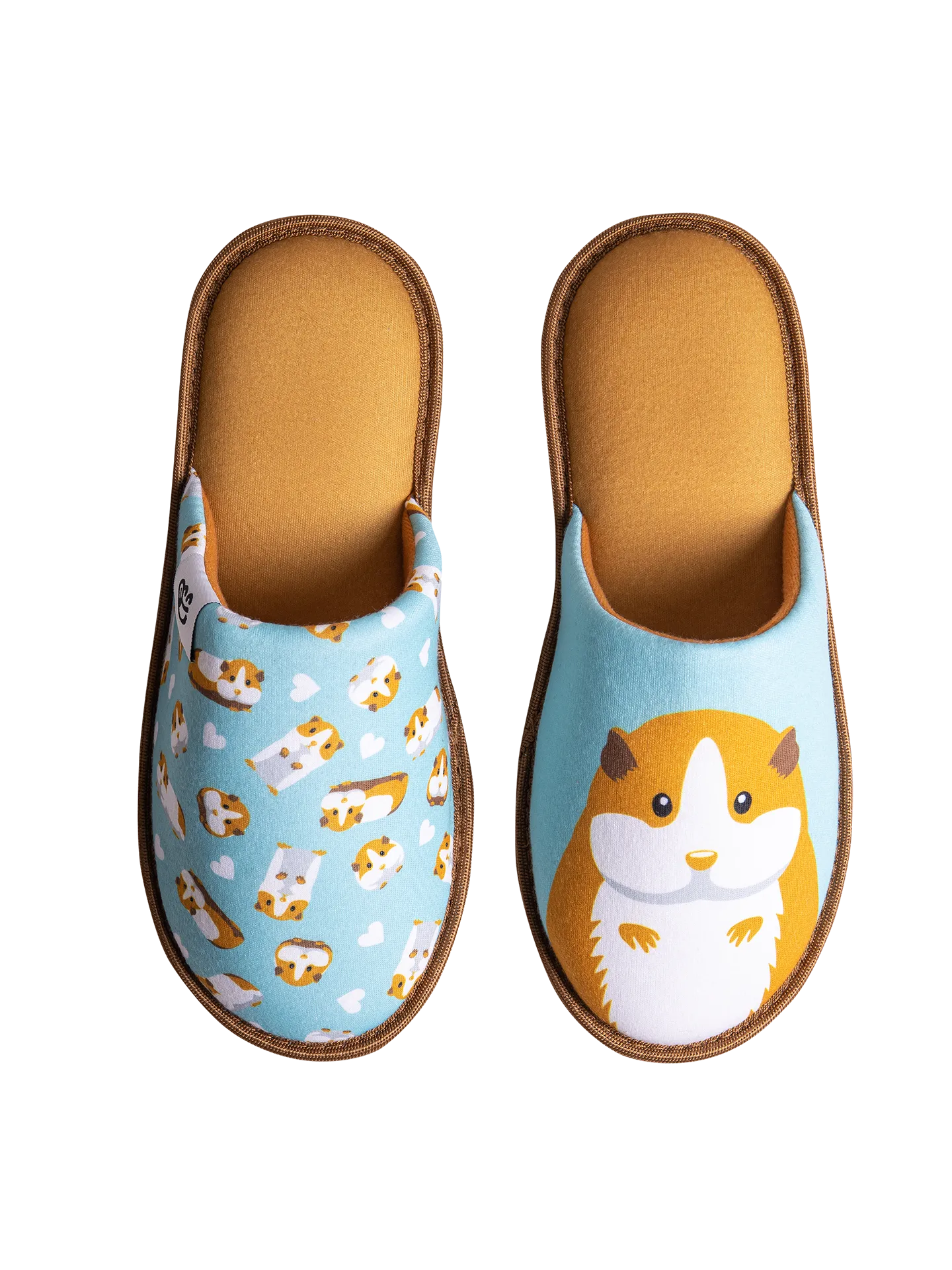 slippers-guinea-pig-af/af81500393c4b5c7b81098a2eb414b03b4091a7d