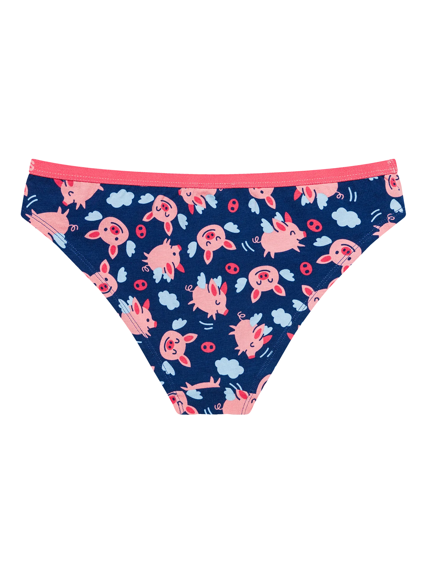 womens-briefs-flying-pigs-1-32/32da6e4c79c9363dd0a3ca0e4d4da407398f55db