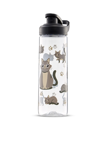 Botella de agua alegre Gato gris 700 ml