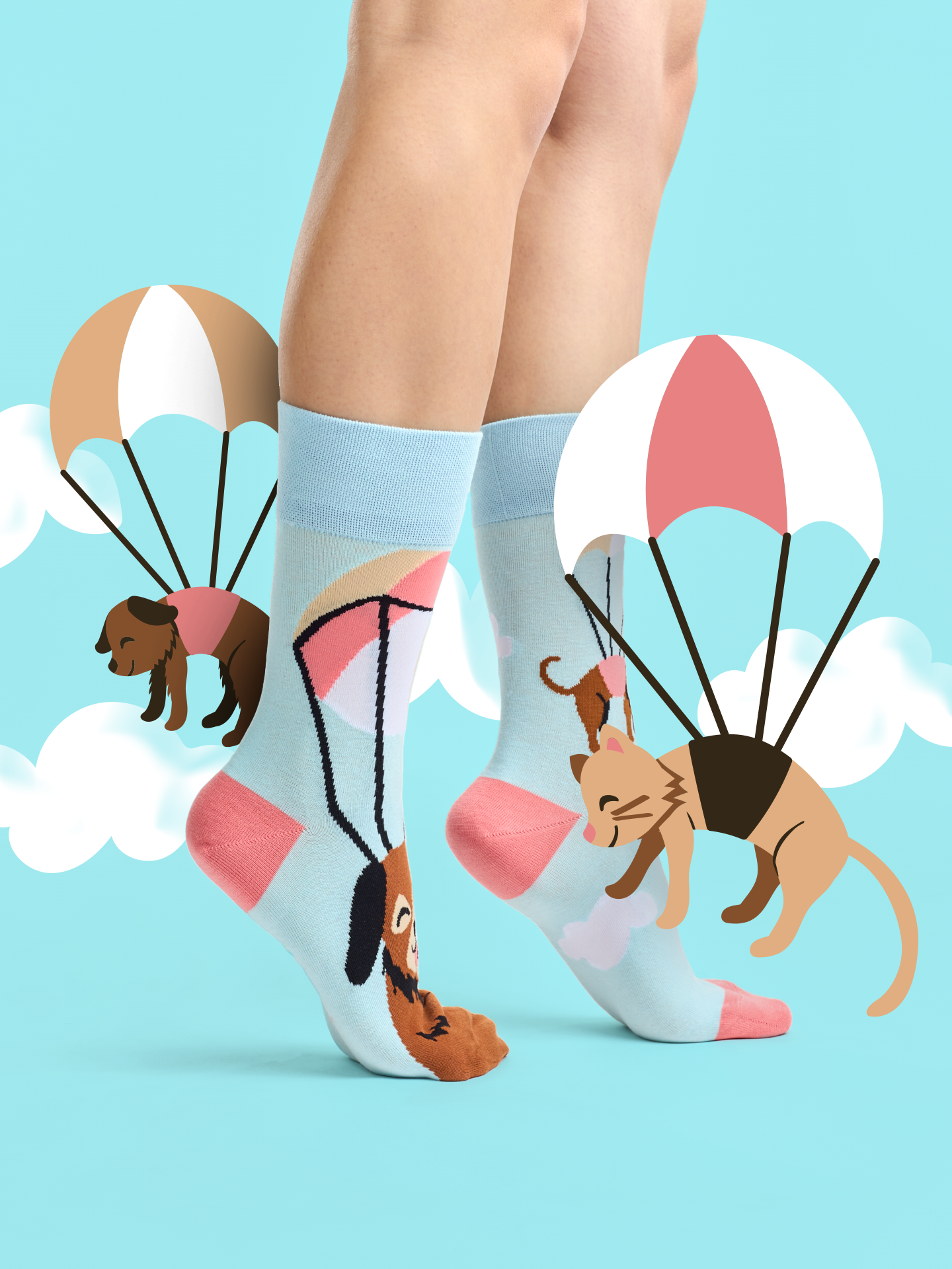 regular-socks-flying-cats-dogs-02-a6/a66dc9f7db0318fbc97aa0f50dddb4bcb918310b