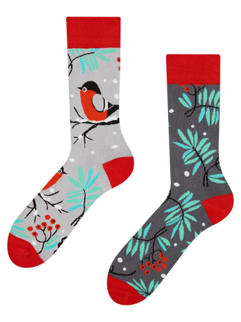 Calcetines de invierno alegres Pájaro rojo