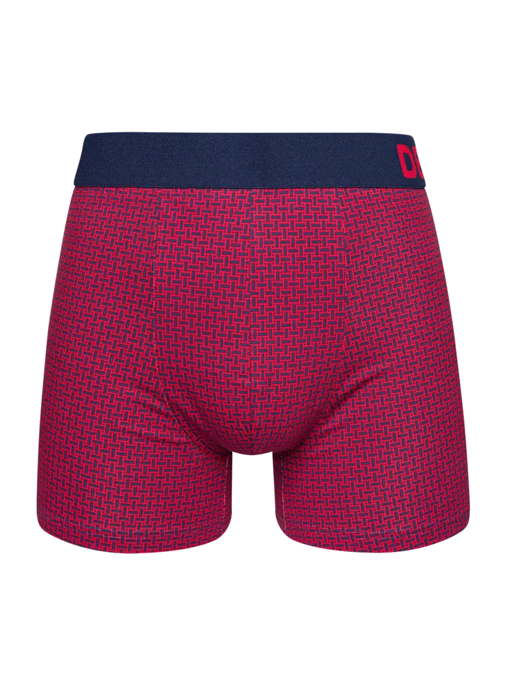 blue-red-mens-pattern-trunks-58/58e941082c7c0ad063fc233c56c1292f670d96b7