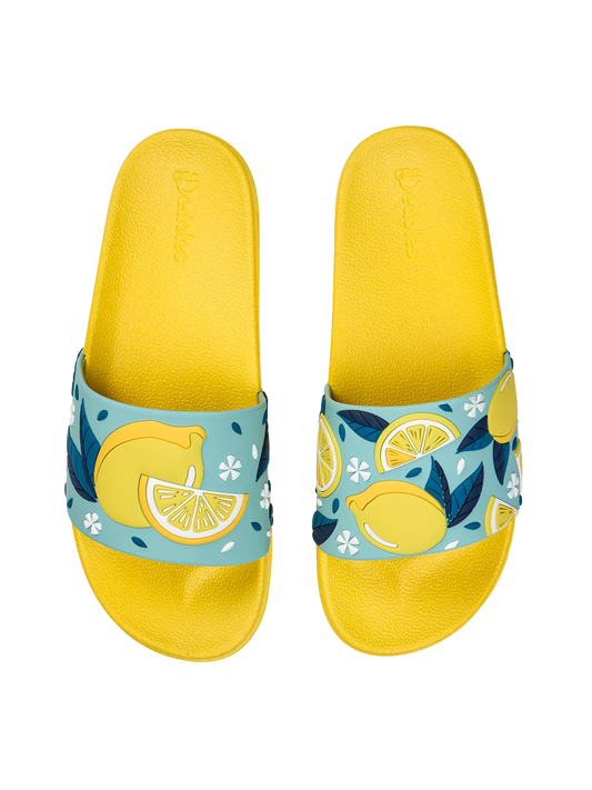 slides-summer-lemons-b7/b7add31a87c17b17505557fefee470d6e68676af
