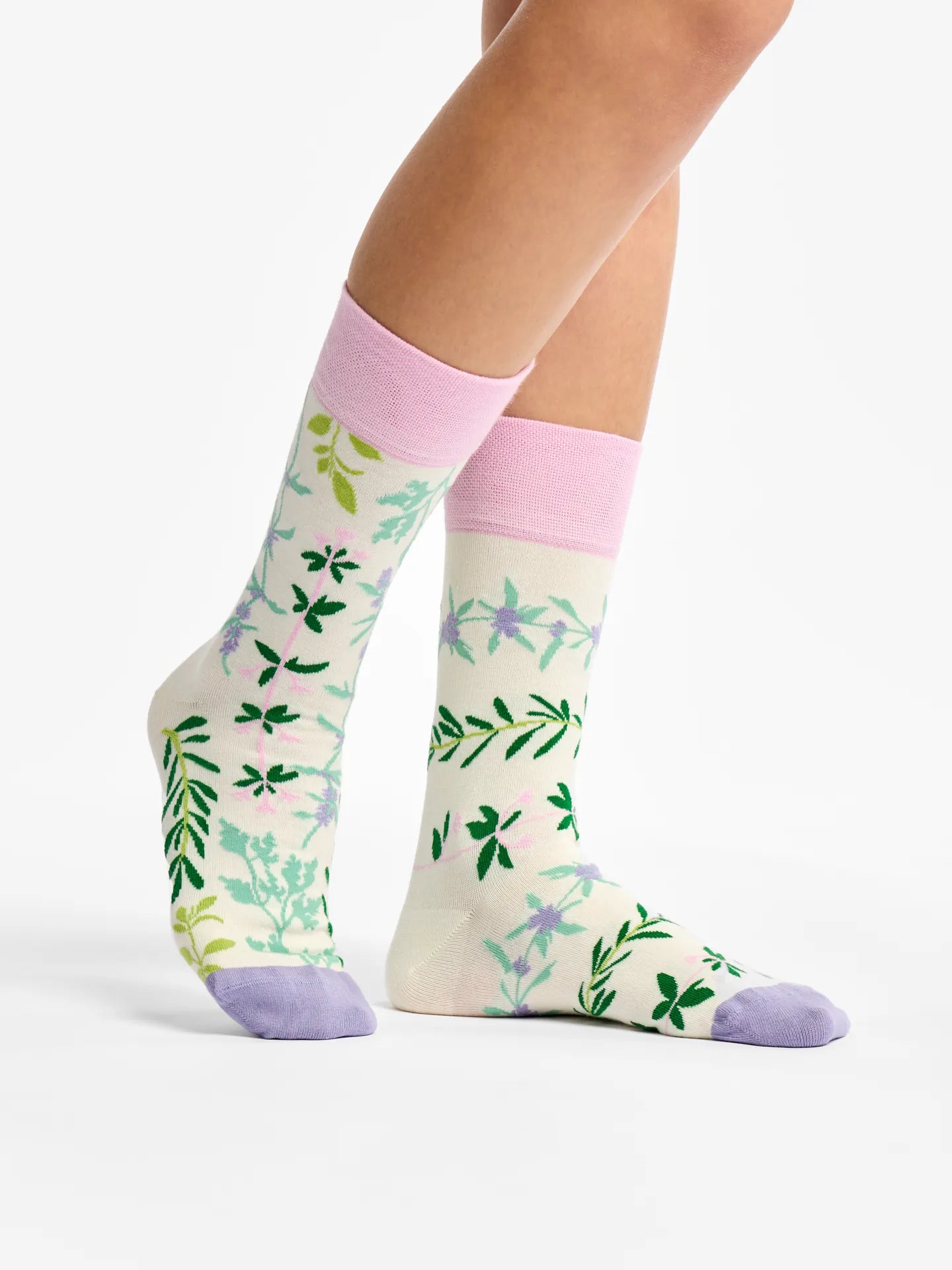 regular-socks-garden-herbs-02-58/58b09d2cecb921f228f1133b8c80f01a9b0623bd