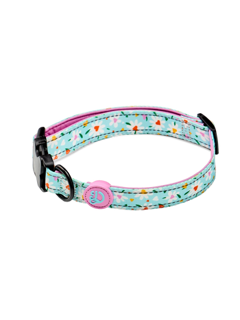 Collar para perro Corazones y margaritas